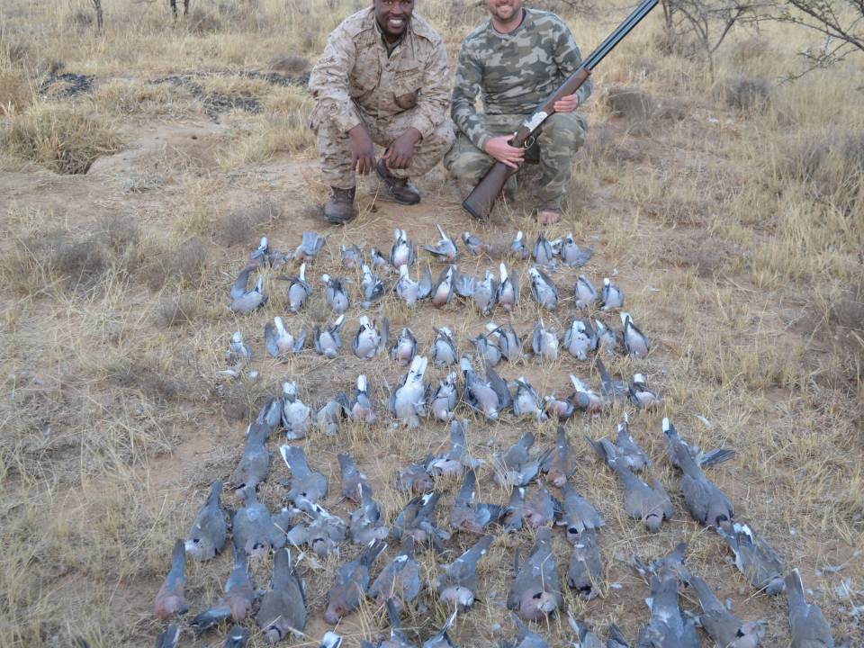 Dove Hunting Outfitters in Africa.jpg
